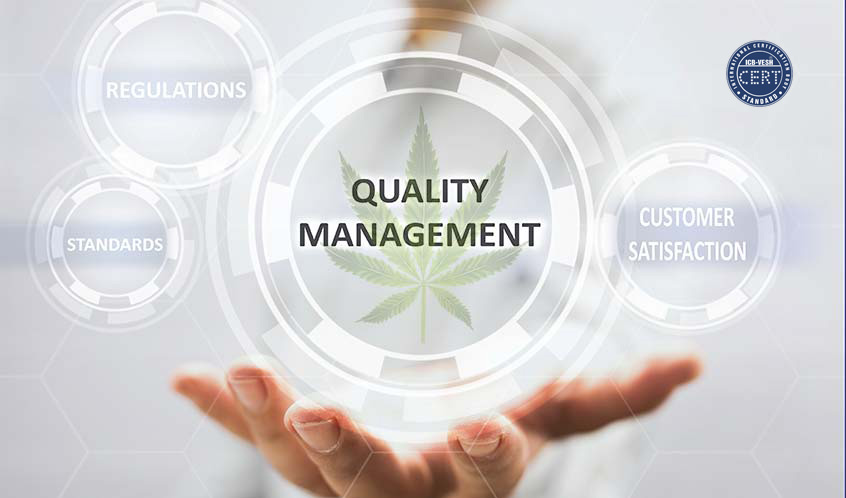Chứng nhận hệ thống quản lý chất lượng