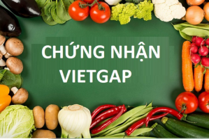Các tiêu chuẩn sản xuất rau VietGAP