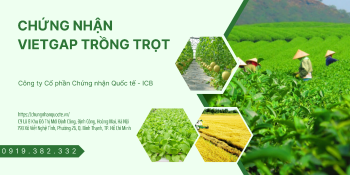 CHỨNG NHẬN VIETGAP TRỒNG TRỌT THEO TCVN 11892-1:2017