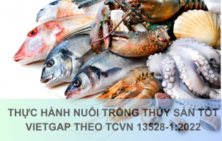 THỰC HÀNH NUÔI TRỒNG THỦY SẢN TỐT VIETGAP THEO TCVN 13528-1:2022