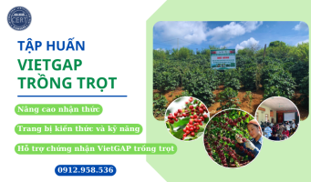 TẬP HUẤN VIETGAP TRỒNG TRỌT VỀ THỰC HÀNH NÔNG NGHIỆP TỐT