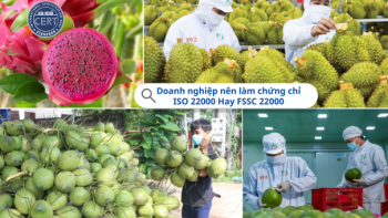 ISO 22000 VÀ FSSC 22000 – DOANH NGHIỆP THỰC PHẨM NÊN CHỌN TIÊU CHUẨN NÀO?